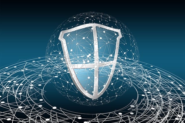 Comment protéger ses données personnelles en ligne